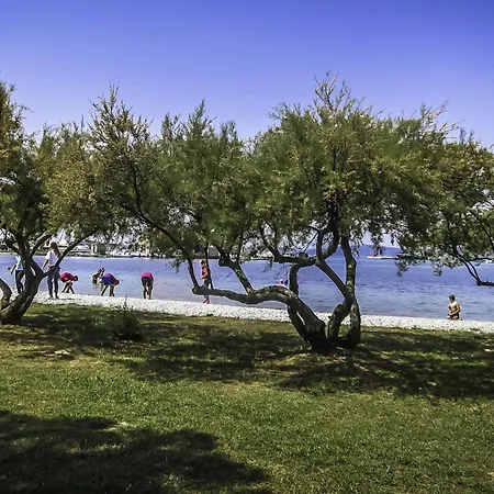 Dom wakacyjny Jagoda By Interhome Gorica (Zadar)